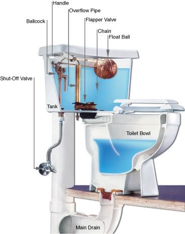 An picture of a complete toilet diagram